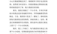 三年级作文父母的爱