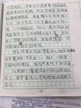 我奶奶作文250字