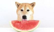 你其实不是怕高，你只是怕坠落