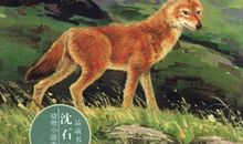 动物小说的读后感