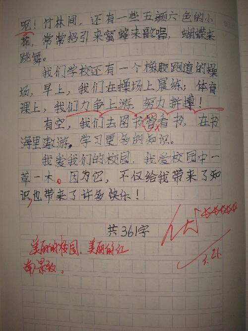 我奶奶随笔400字