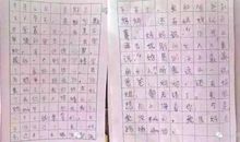 中学生寒假日记大全