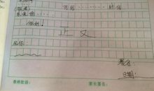 关于尊重他人的作文