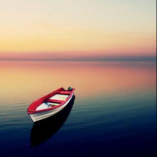 您无法阻止洪水，但可以建造方舟