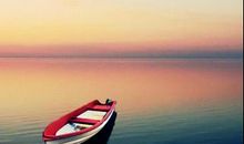 你无法预防洪水，但能建造方舟