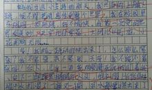 一件难忘的事作文500字