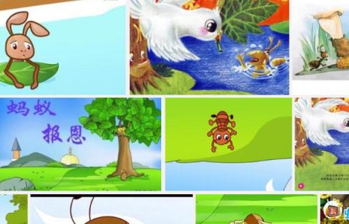 蚂蚁看完后还情