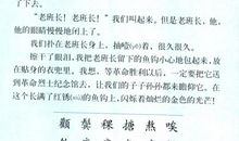 缩写金色的鱼钩400字