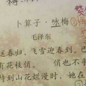 关于读《卜栓子咏梅》的思考