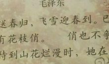 卜算子咏梅读后感