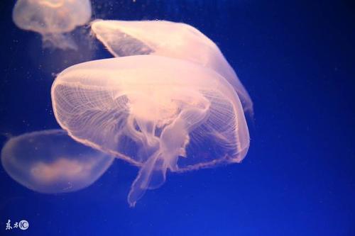 让人们看到你坚强而你输了