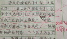 家乡的风俗习惯作文