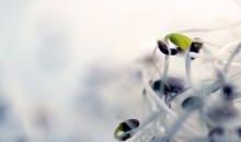 回忆，是一种内心的谣言