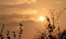 生命太短，没有时间留给遗憾