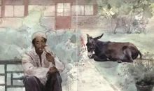 驴打滚儿读后感