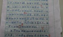 小学生作文我的奶奶