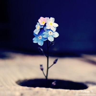 有时候你不强迫自己，永远不知道自己有多好