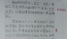 我的奶奶作文600字