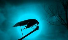 秋夜鲁迅读后感