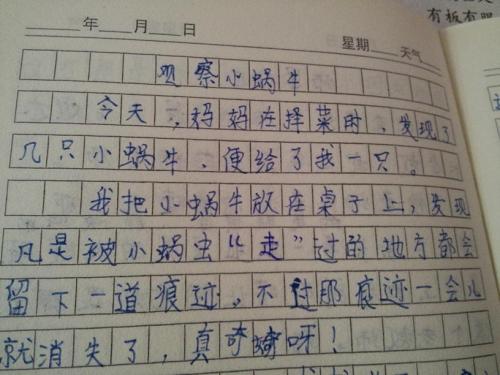 描述小动物的组成