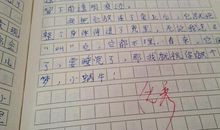 养小动物的作文