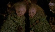 绿林女儿读后感