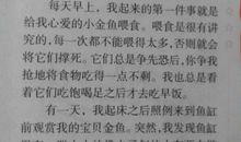 我的小动物作文