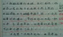 三年级作文写小动物