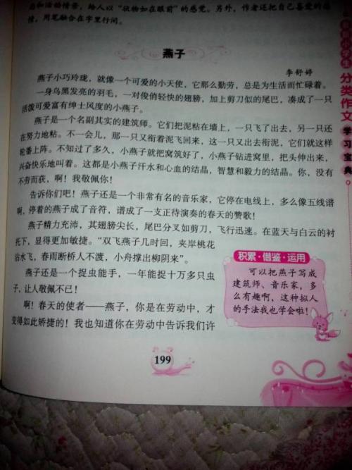 介绍一种小动物组成