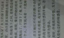 感受春天的气息作文