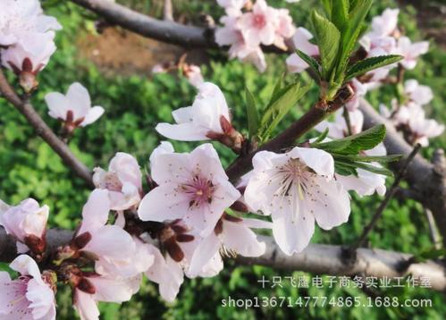 初学者的十个秘诀