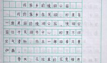 三年级作文我喜欢的小动物