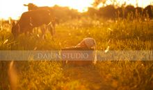 写给和我一样曾经一无所有的人