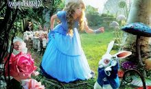 爱丽丝梦游仙境读后感