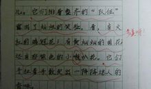 我变了三年级作文