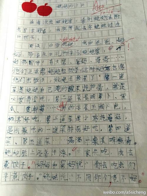 这是我的作文300字