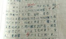 这就是我作文300字