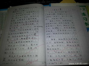 元宵节组成150字