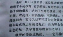 秋天的快乐作文200字