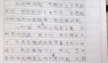 老鹰捉小鸡作文500字