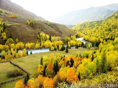 秋天的回忆组成