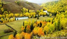 秋天的回忆作文