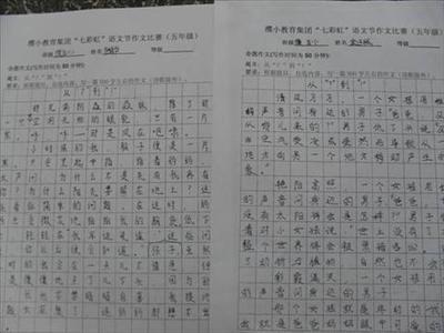 这是我的作文100字