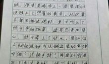 调皮的我作文400字