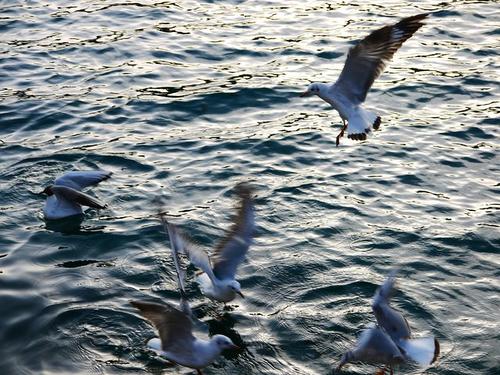 您没有时间发呆：想象一下五年后您在做什么