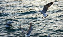 你根本没时间发呆：想象五年后的你在做什么