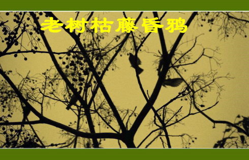 天津沙丘寺改写短篇小说