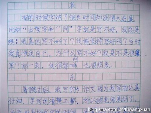 关于写作的500个字