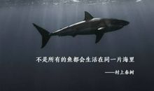 不是所有的鱼都生活在同一片海里