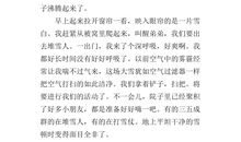 雪中情作文400字